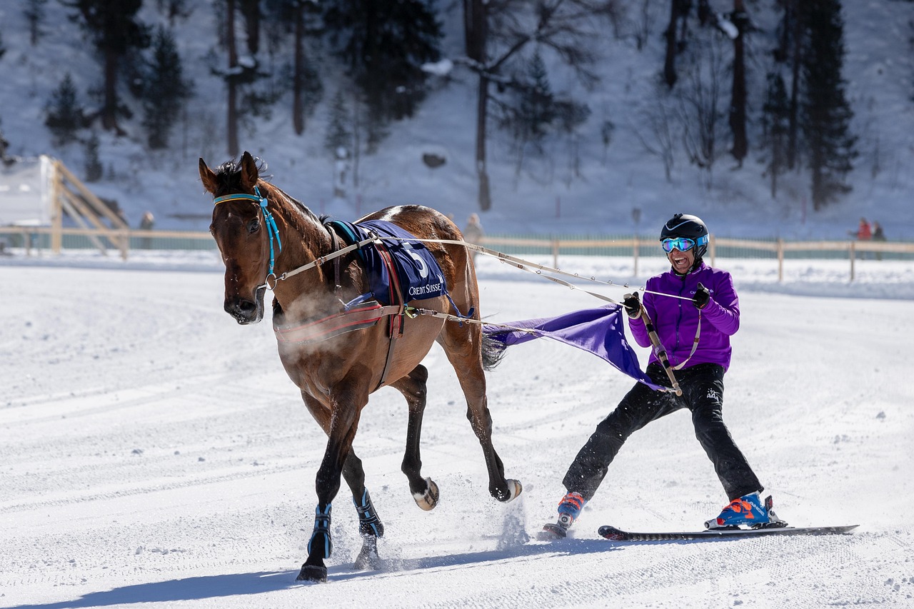 Skijöring: Wenn der Winter zum Teamsport wird